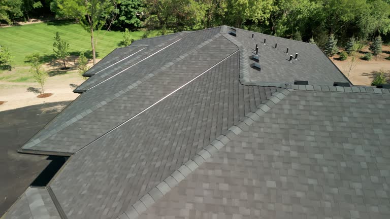 Best Roof Moss and Algae Removal  in Riverview, DE